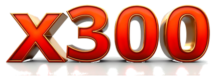 x300 logo
